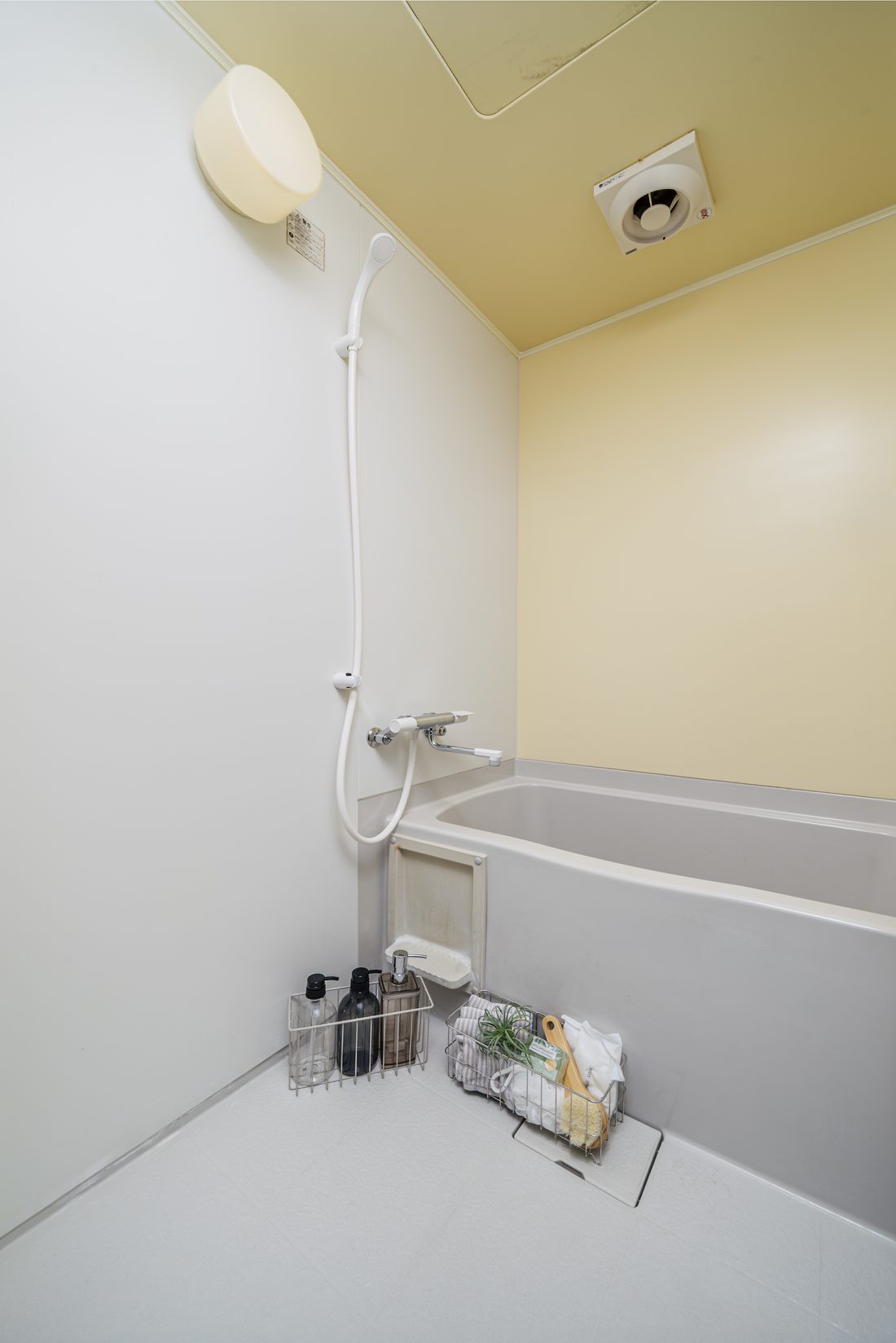 The bathroom, with a tub and a shower area