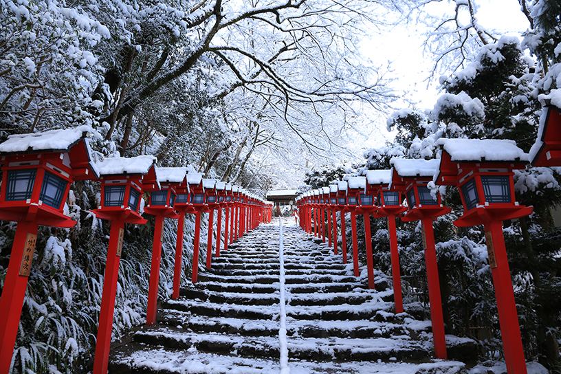 A snow-covered shrine approach lined with lanterns